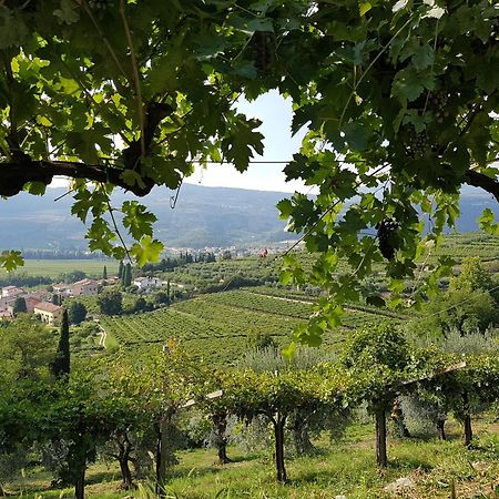 Agriturismo Valentina Cubi フマーネ エクステリア 写真