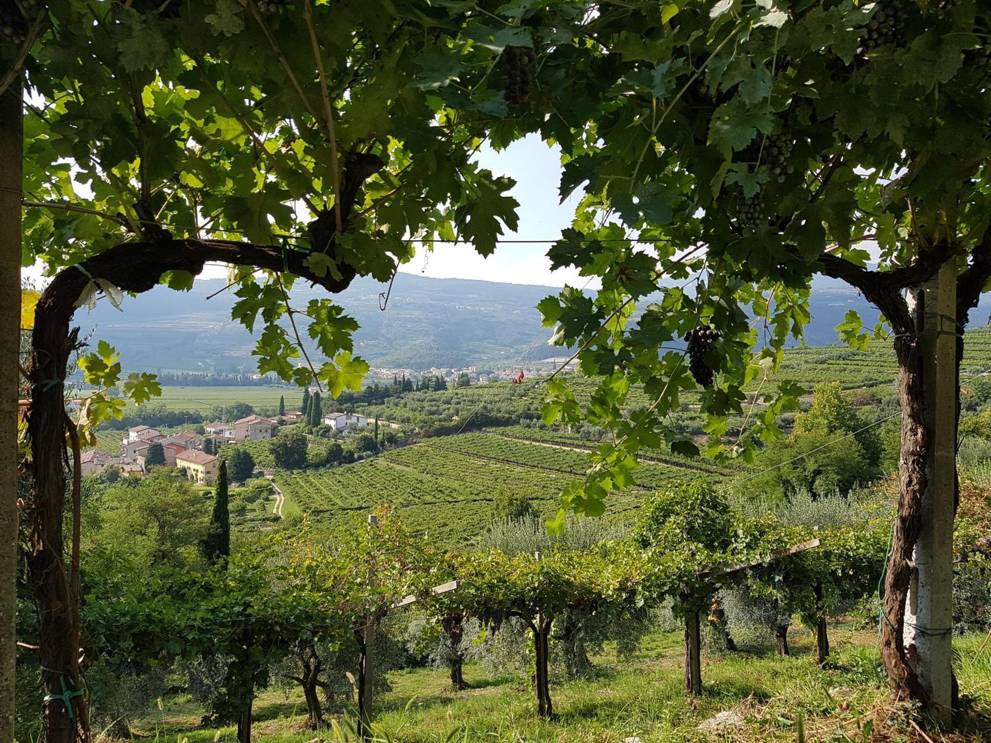 Agriturismo Valentina Cubi フマーネ エクステリア 写真