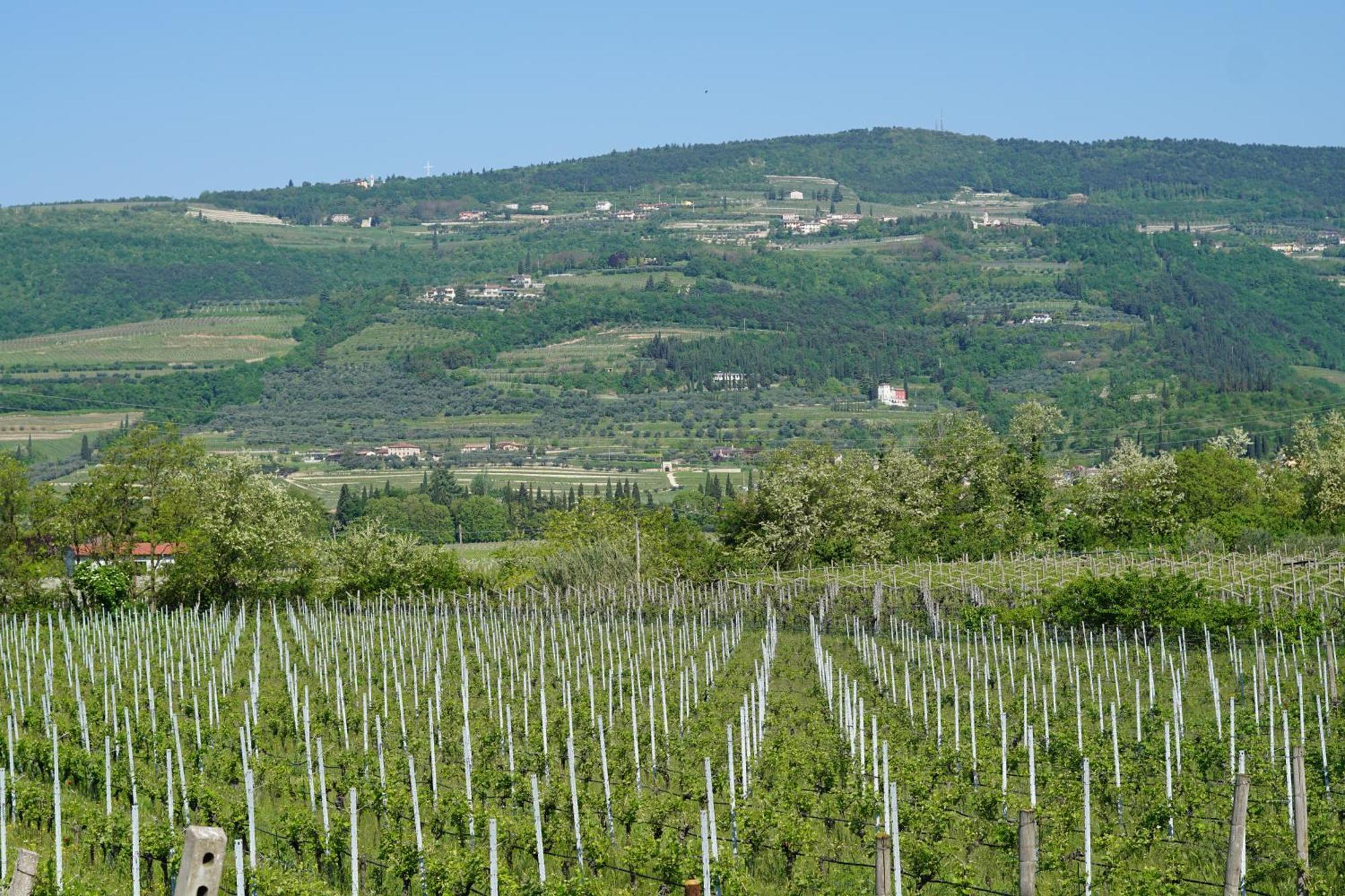 Agriturismo Valentina Cubi フマーネ エクステリア 写真
