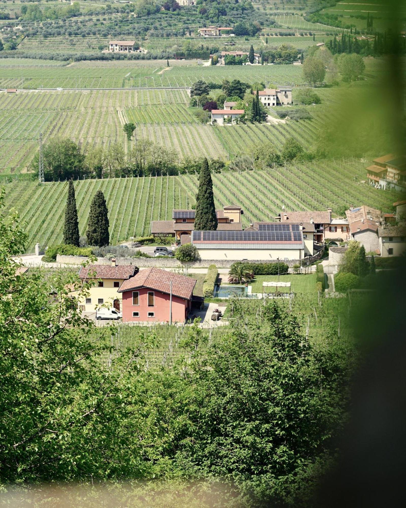 Agriturismo Valentina Cubi フマーネ エクステリア 写真